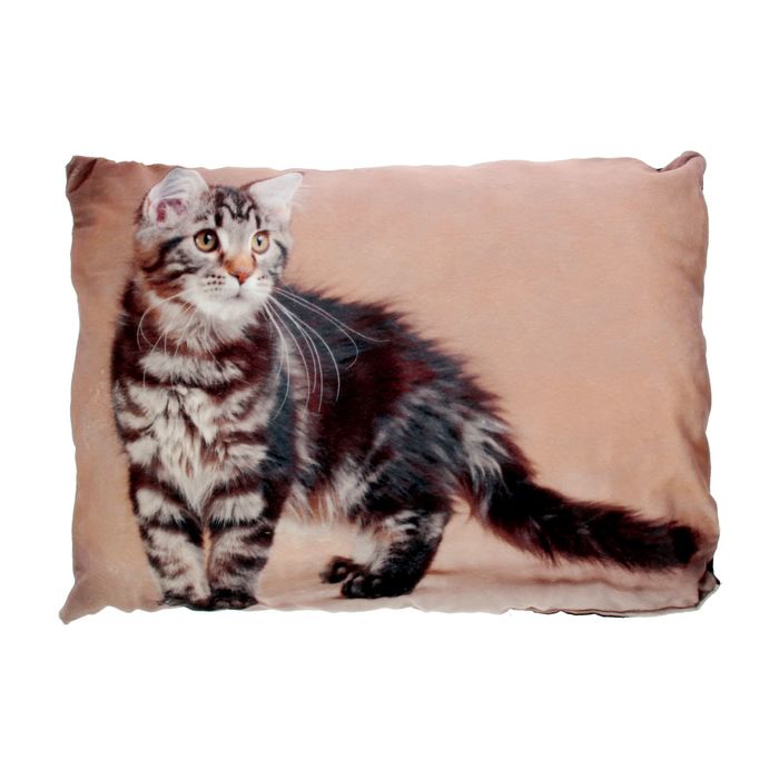 Лежанка №6 с кошкой, 67х49х16 см, микс