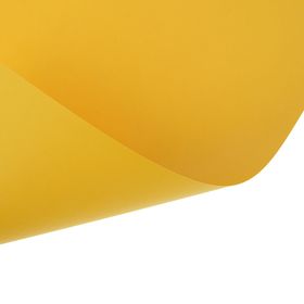 

Картон цветной Sadipal Sirio, 420 х 297 мм,1 лист, 170 г/м2, жёлтое золото, цена за 1 лист