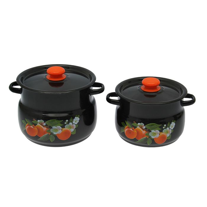 Набор кастрюль "Абрикос", 2 предмета: 4 л, 5,5 л