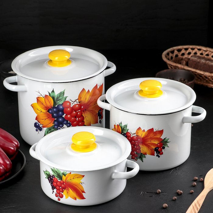 Набор кастрюль "Смородина", 3 предмета: 2 л, 3,5 л, 5,5 л