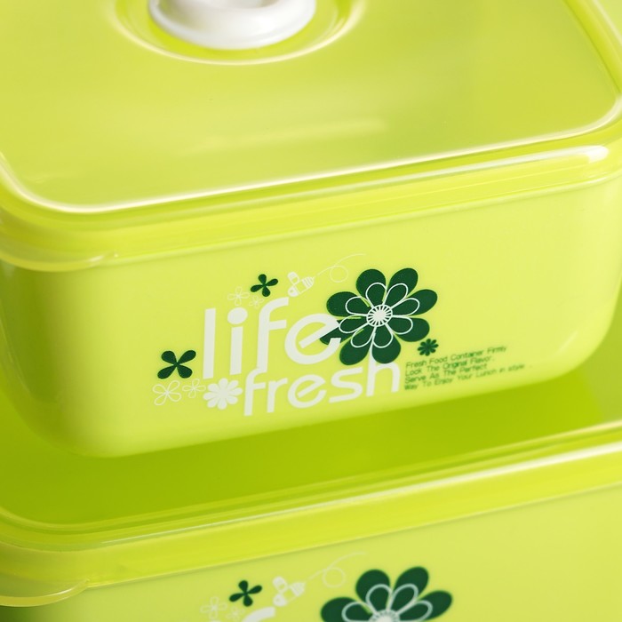 Набор ланч-боксов "Свежесть", 3 шт: 350 мл, 600 мл, 1,2 л (21х15 см/16х13 см/13х10 см), цвета МИКС
