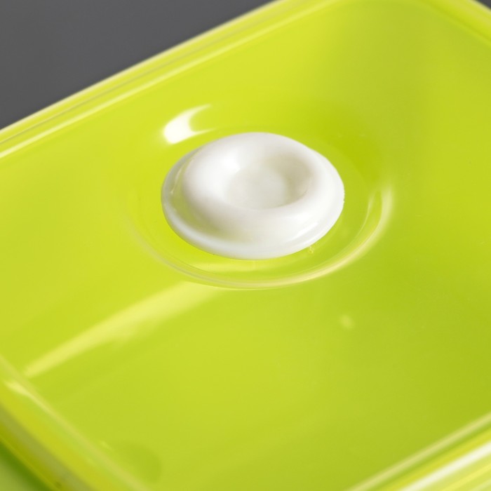 Набор ланч-боксов "Свежесть", 3 шт: 350 мл, 600 мл, 1,2 л (21х15 см/16х13 см/13х10 см), цвета МИКС