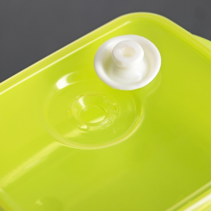 Набор ланч-боксов "Свежесть", 3 шт: 350 мл, 600 мл, 1,2 л (21х15 см/16х13 см/13х10 см), цвета МИКС