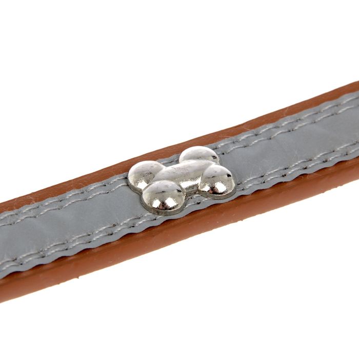 Ошейник со светоотражающей полосой и косточками, 45 х 2 см, коричневый