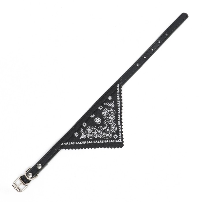 Ошейник с косынкой 32 х 1 см, черный