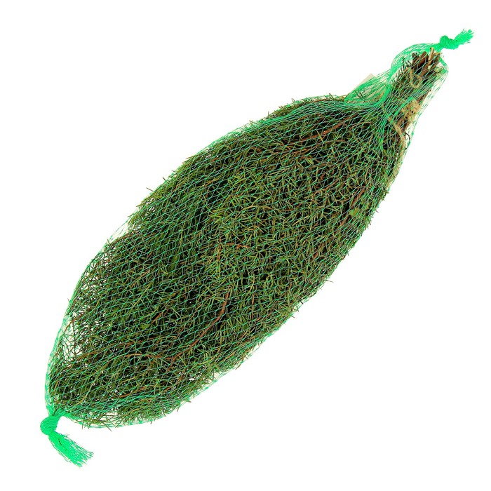 Веник можжевеловый