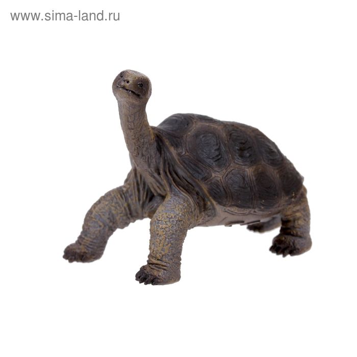 Фигурка «Абингдонская слоновая черепаха» фигурка животного абингдонская слоновая черепаха