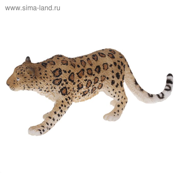 фото Фигурка «амурский леопард» collecta
