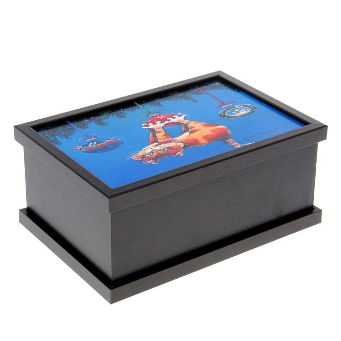 Шкатулка "Кот на шаре"