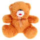 Мягкая игрушка «Медведь с бантом», цвета МИКС - Фото 2
