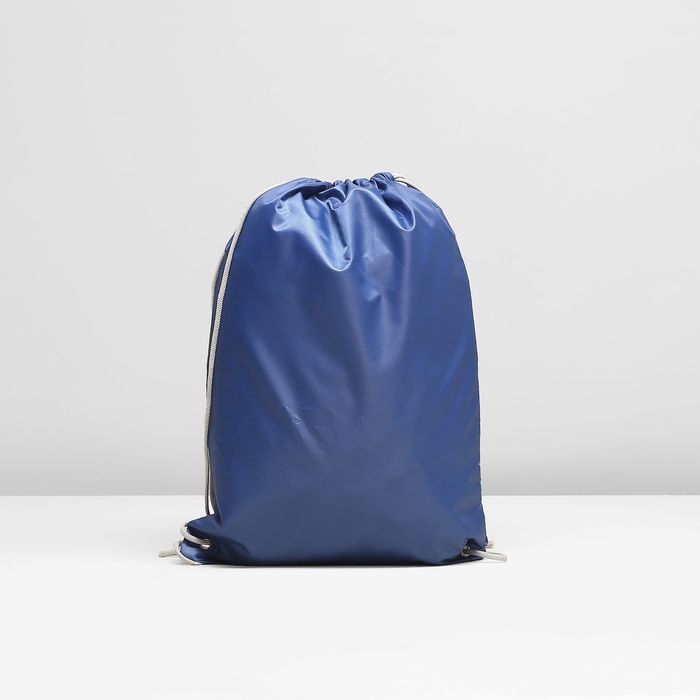 Мешок для обуви на стяжке шнурком "Совы на ветке", 1 отдел, МИКС