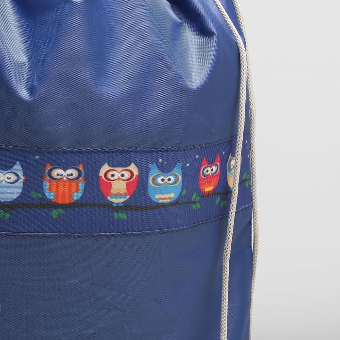 Мешок для обуви на стяжке шнурком "Совы на ветке", 1 отдел, МИКС
