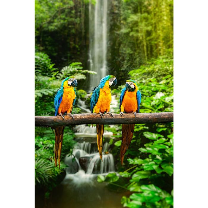 Фотообои "Попугаи" (состоит из 2 частей), 1,8 х 2,7 м