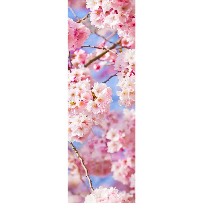 Фотообои "Цветы сакуры", 0,9 х 2,7 м