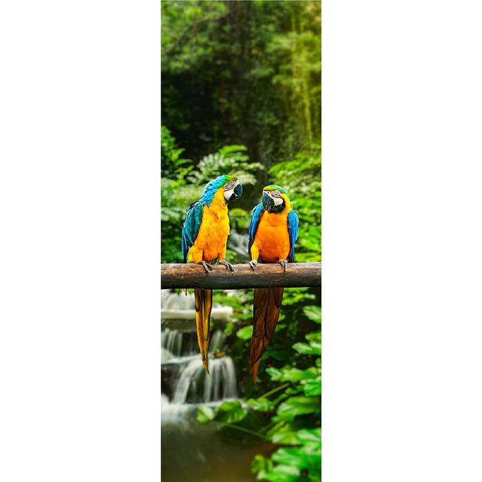 Фотообои "Попугаи", 0,9 х 2,7 м