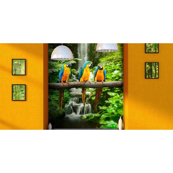 Фотообои "Попугаи", 0,9 х 2,7 м