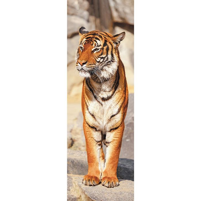 Фотообои "Тигр", 0,9 х 2,7 м