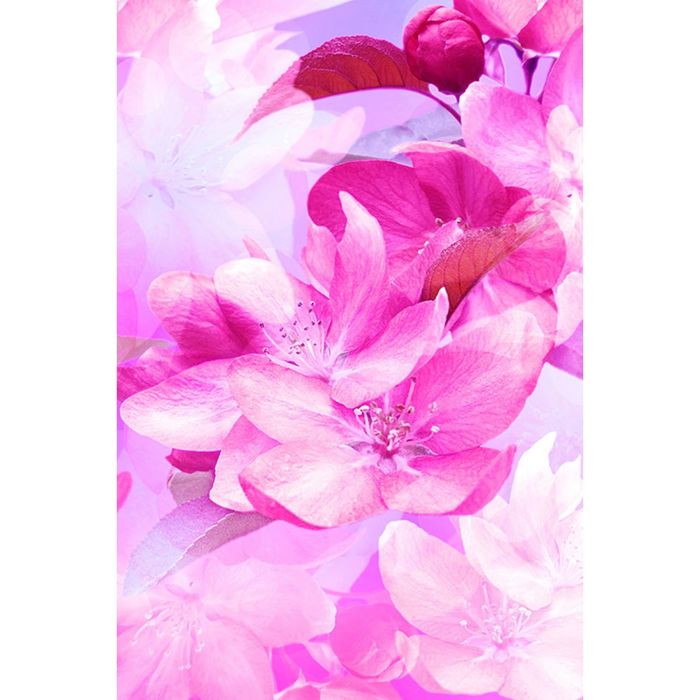 Фотообои "Магические цветы" (состоит из 2 частей), 1,8 х 2,7 м