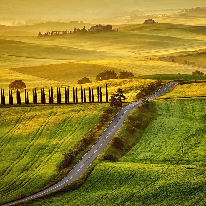 Фотообои "Холмы" (состоит из 3 частей), 2,7 х 2,7м