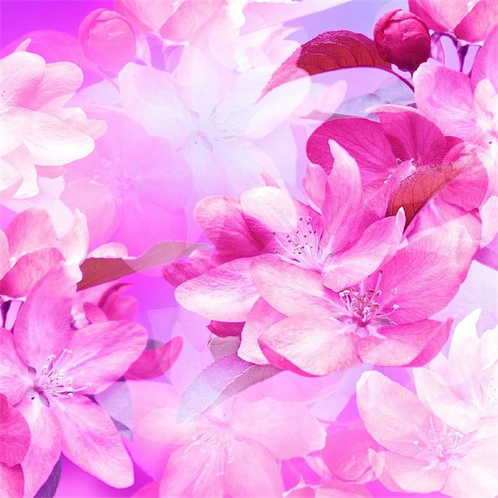 Фотообои "Магические цветы" (состоит из 3 частей), 2,7 х 2,7м