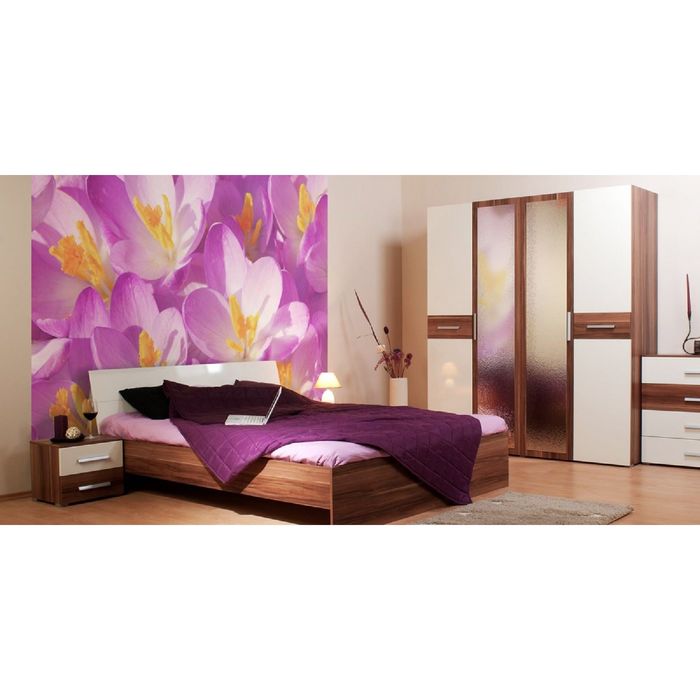 Фотообои "Крокусы" (состоит из 3 частей), 2,7 х 2,7м