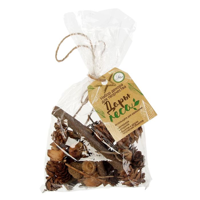 Набор природного декора «Дары леса»,