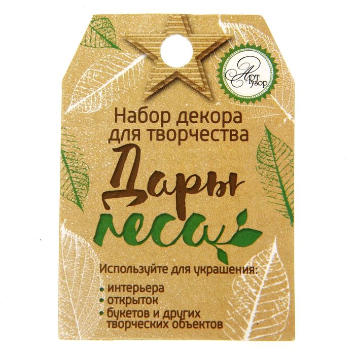 Набор природного декора «Дары леса»,