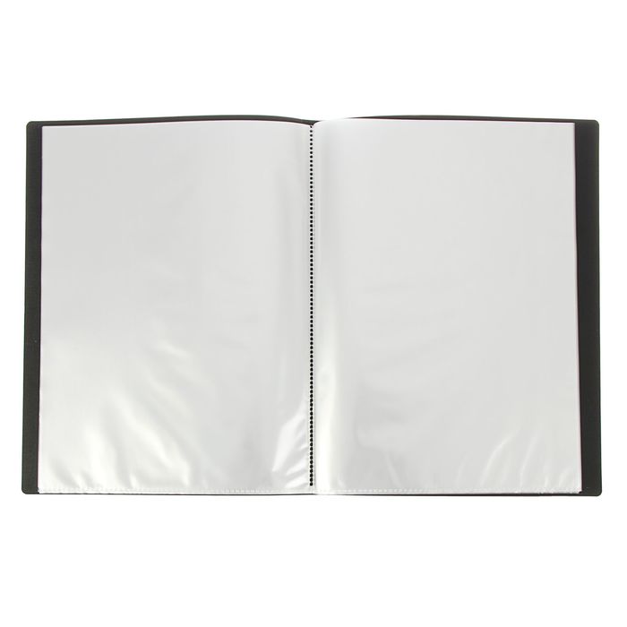 Папка с 20 прозрачными вкладышами А4, 450мкм EC FLEXI черная