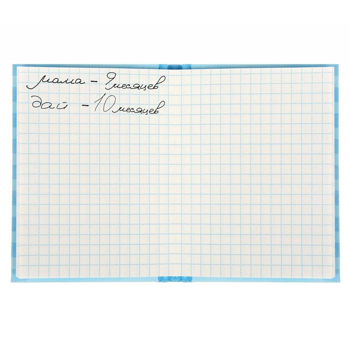 Блокнот "Блокнот первых слов малыша"