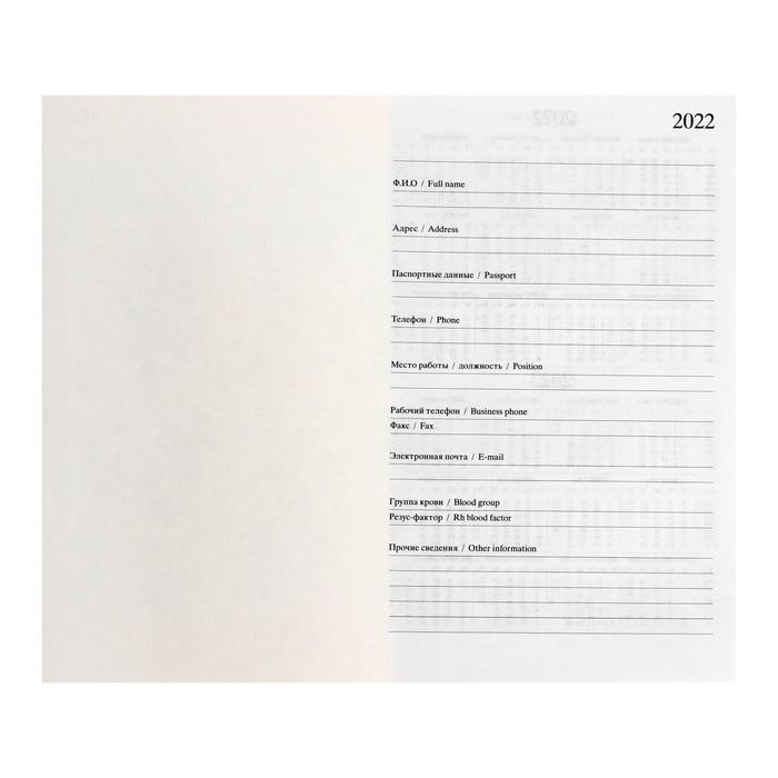 Ежедневник датированный 2019 г А5, 336 страниц, бумвинил, чёрный