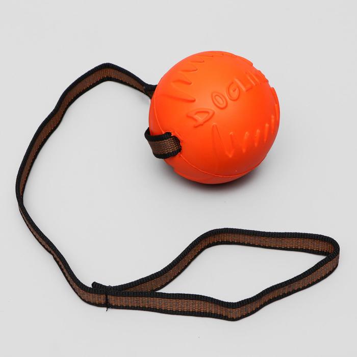 Мяч для дрессировки "ДогЛайк" с лентой, большой, диаметр 10 см, длина ленты 65 см