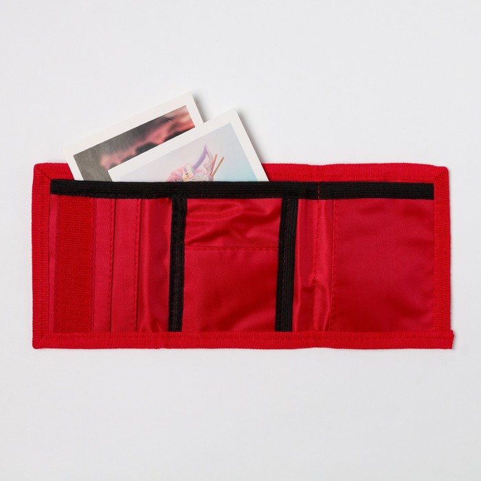 Детский набор Collorista "Панда" шапка р-р 54, 100% хб, кошелек 9,5х12 см текстиль