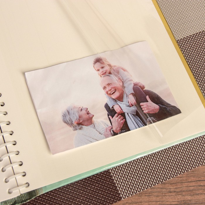 Фотоальбом "Нежные розы", 20 листов, с золотой обводкой