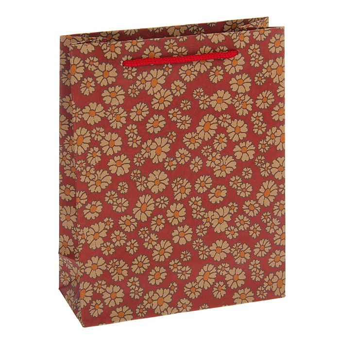 Пакет крафт "Ромашки" 19 х 8 х 24 см
