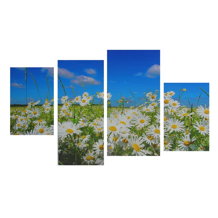 Модульная картина на подрамнике "Ромашковое поле", 2 — 30×45, 1 — 29,5×69, 1 — 34×69, 80×13 см