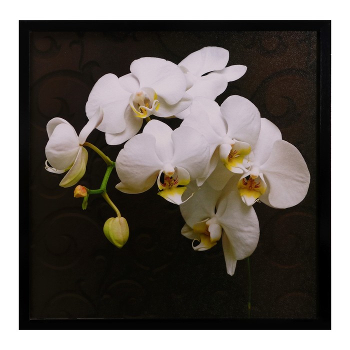 Картина Белая орхидея 75*75 см рамка микс