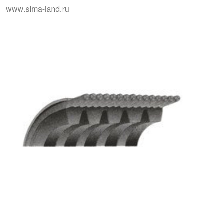 

Ремень поликлиновый Contitech 5PK868ELAST