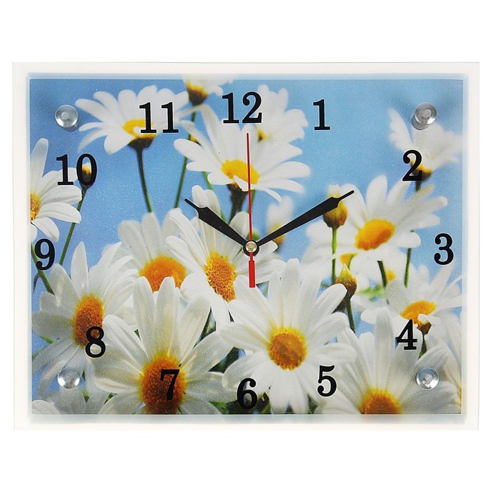 Часы-картина настенные, серия: Цветы, Ромашки, 20х25 см