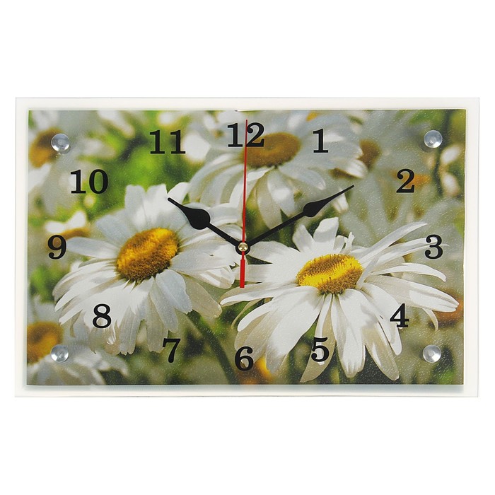цена Часы-картина настенные, серия: Цветы, Ромашки, 20х30 см