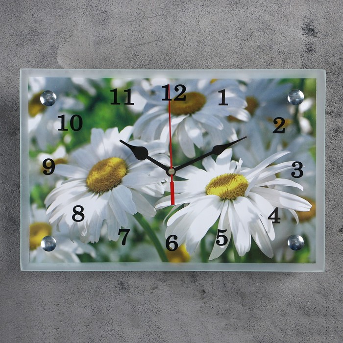 Часы настенные, серия Цветы, Ромашки, 20х30 см