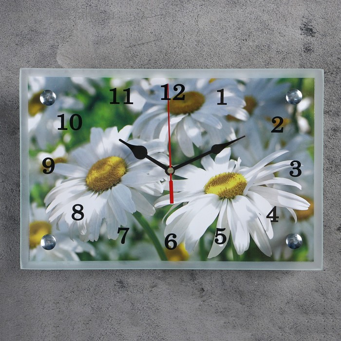 Часы-картина настенные, серия: Цветы, Ромашки, 20х30 см