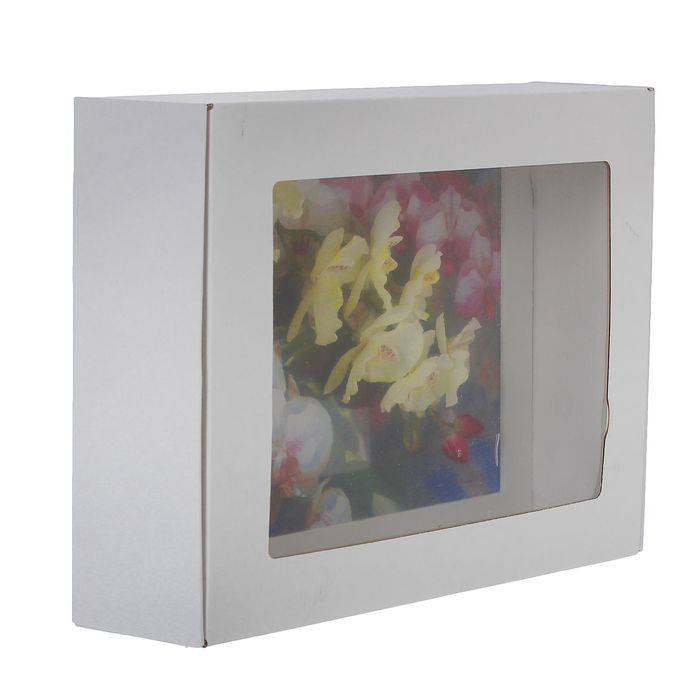 Картина-гербарий "Ветки орхидей"