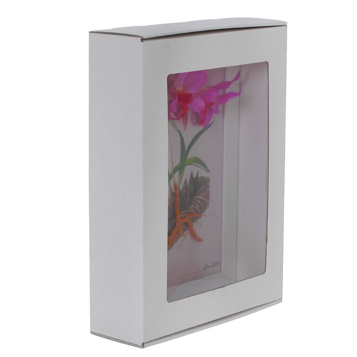 Картина-гербарий "Ярко-розовые цветы"