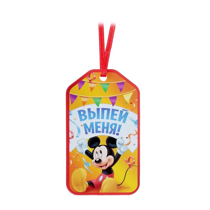 Набор для проведения праздника "С Днем Рождения!", Микки Маус и друзья