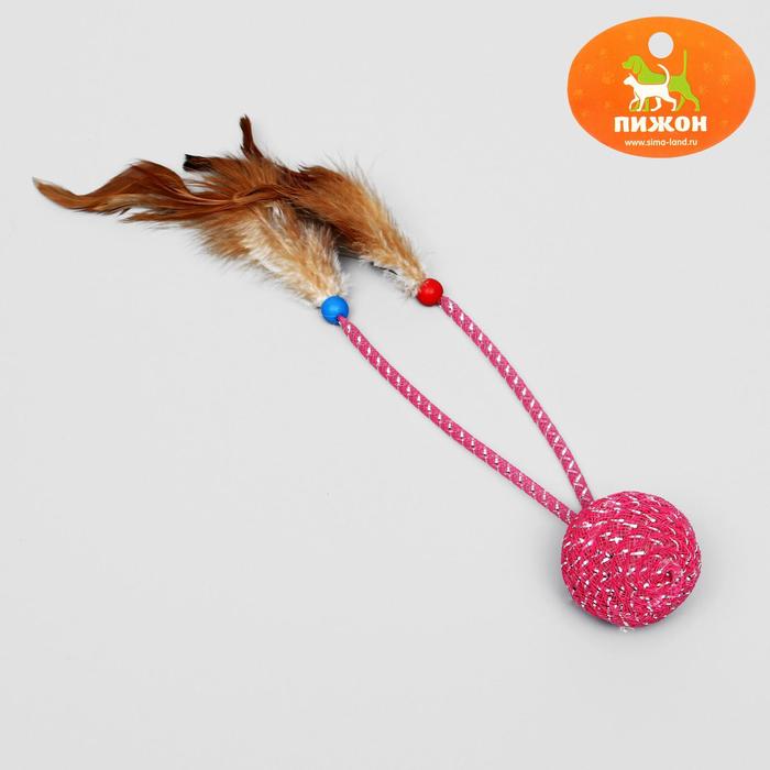 Шар-погремушка "Праздничный" с 2 дразнилками и перьями, 4,5 см, микс цветов