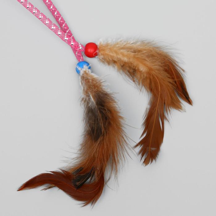 Шар-погремушка "Праздничный" с 2 дразнилками и перьями, 4,5 см, микс цветов