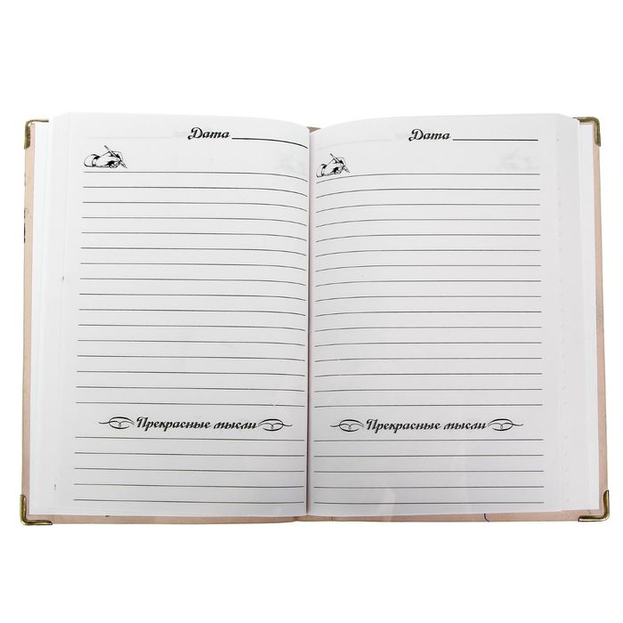 Ежедневник Индия "Ежедневник настоящего мужчины" 280 стр.