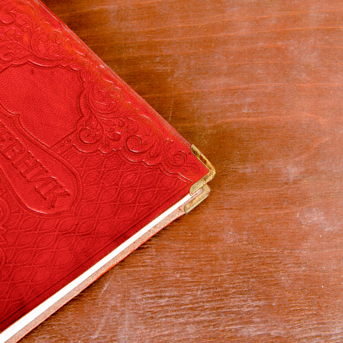 Ежедневник "Молодой мамы" Индия 280 стр.