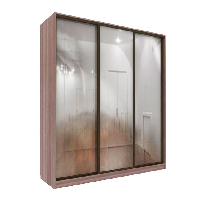 Шкаф-купе Практичный 3 зеркала Ясень Шимо Темный