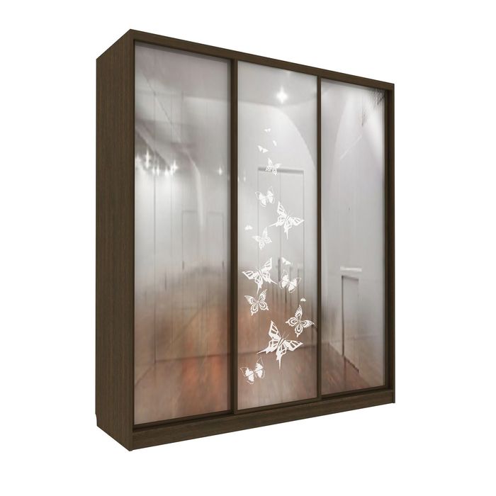 Шкаф-купе Удобный 1 зеркало Бабочки Венге Темный